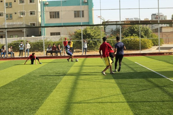 صور